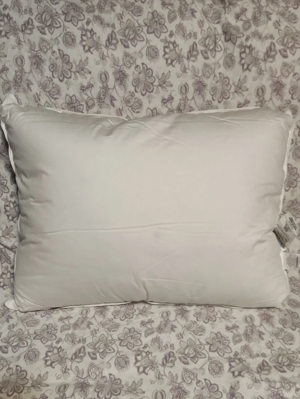 Quince Luxe Goose Down Pillow - Standard, Open Box
